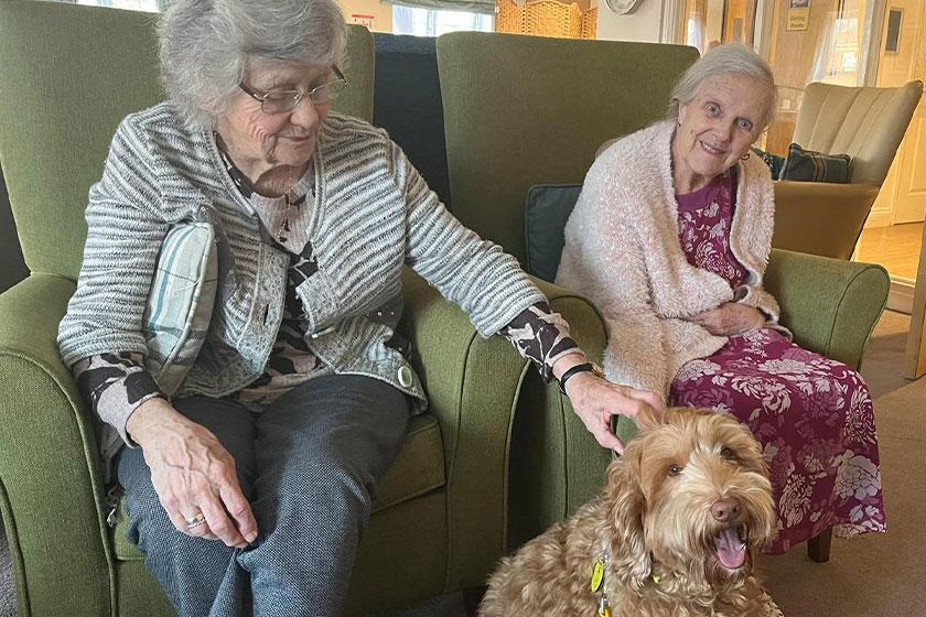 Residents at Upton Dene Residential and Nursing Home, our Sanctuary Care home in Chester, with therapy dog Ned 