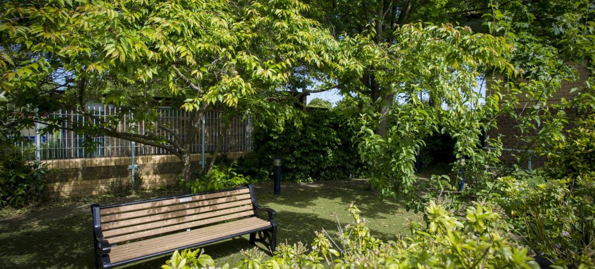 A wooden bench set in leafy gardens.