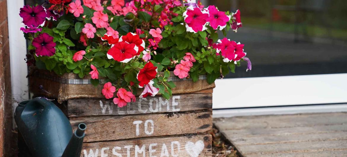 Flower planter with pink and red flowers with 'Welcome to Westmead' painted on the side