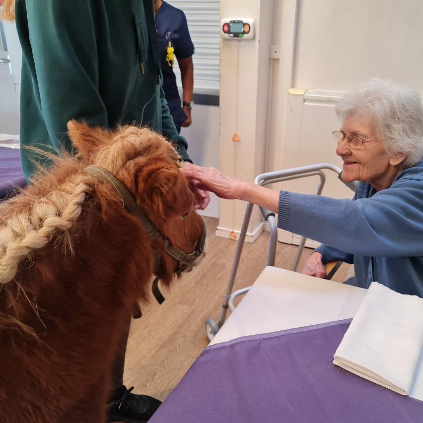 Resident Pamela petting a small horse