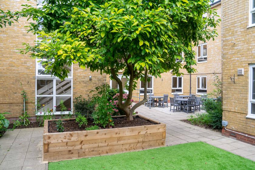 Sunny Garden