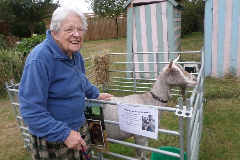 A resident with Magnolia the dairy goat