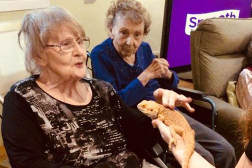 Residents from Lake View Residential Care Home meeting a lizard from Zoolab.