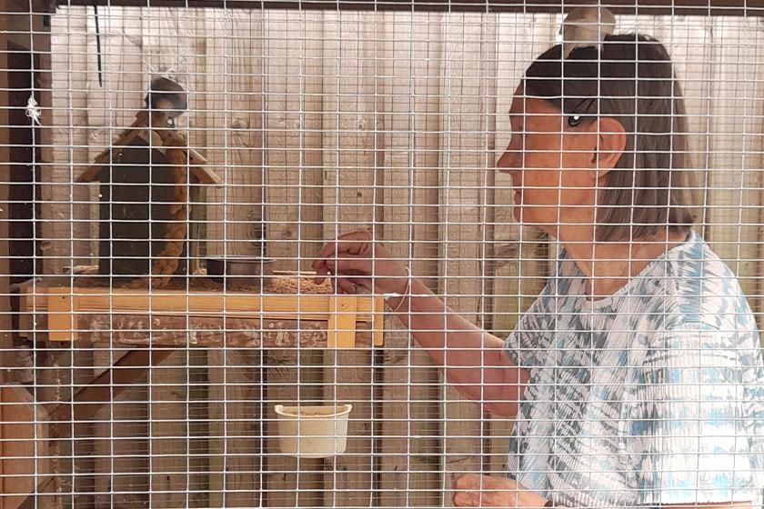 Trish in her aviary at Ridgewood Court Residential Care Home in Pensby