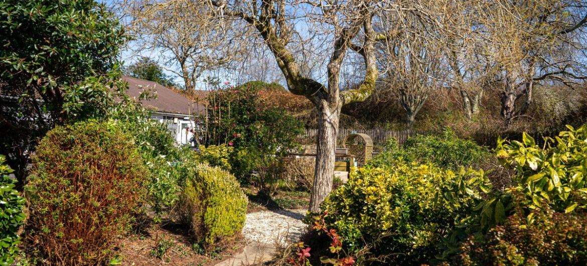 A peaceful garden with lush greenery, a winding path, and a cozy bench beneath a large tree. Offering a calm, relaxing space.