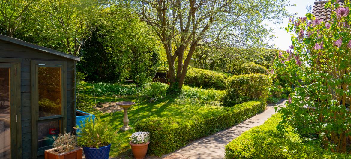 Garden - Caton House