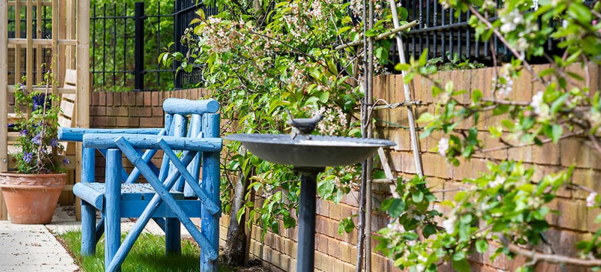 Outside bench and bird bath at Dovecote Residential and Nursing Home in Durham