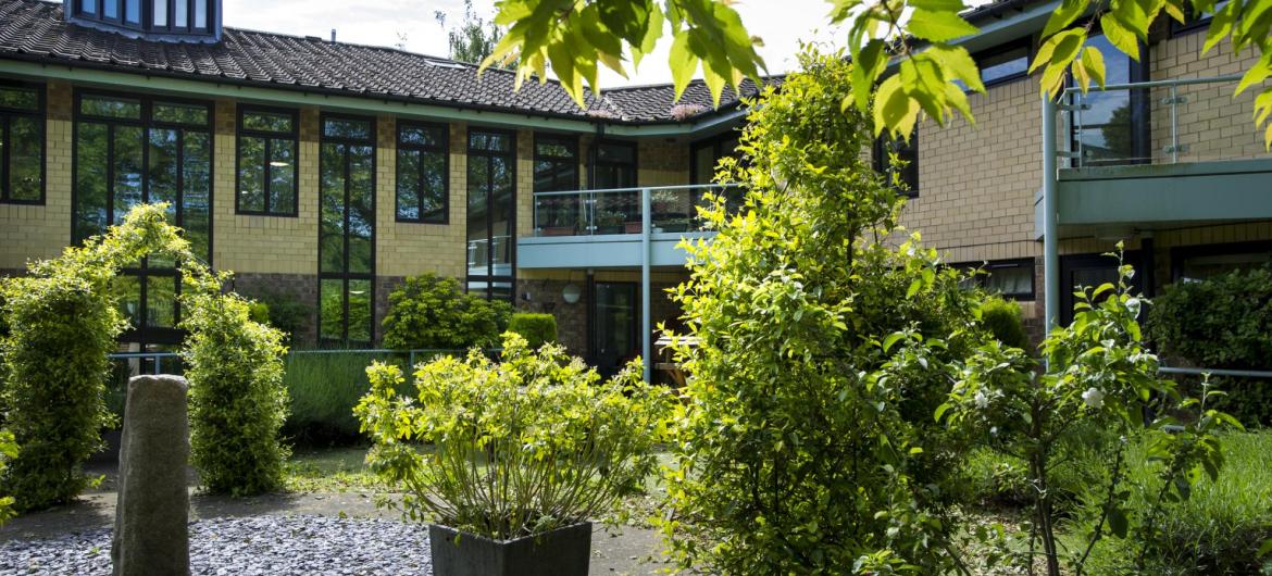 The view of Parkview House Residential Care Home across the pebble back gardens.