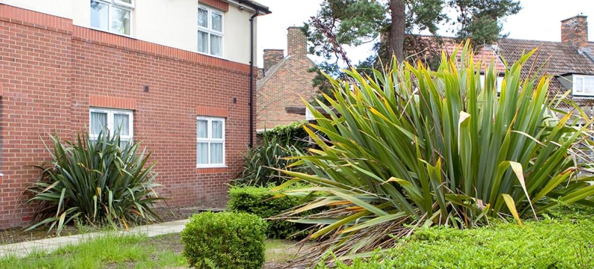 Garden at Rushyfields Residential and Nursing Home in Durham