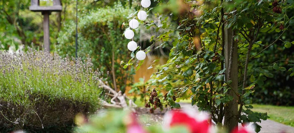 Part of the garden area at Westmead Residential Care Home