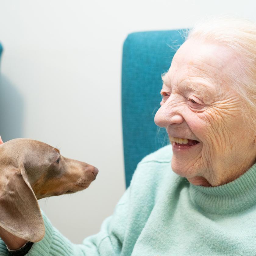 An elderly woman with light-colored hair smiles warmly as she interacts with a small brown dog. The woman is wearing a light blue sweater and is seated in a cozy environment, with teal chairs in the background. The dog is looking at her, and she gently pets its head, creating a joyful and heartwarming scene.