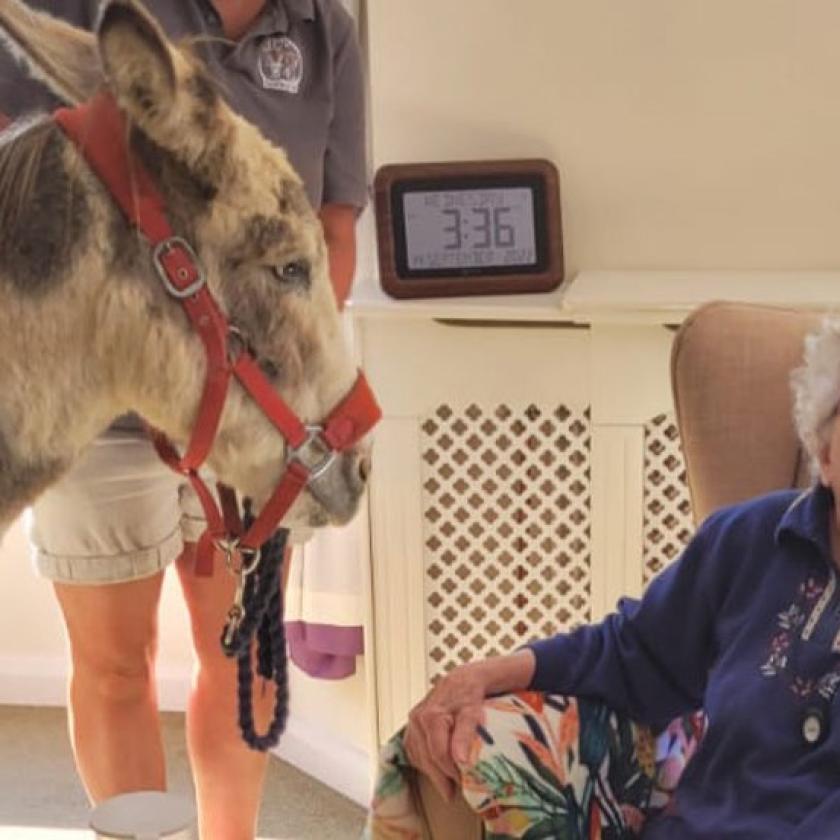 Basingfield Court Basingstoke Care Home Sanctuary Care