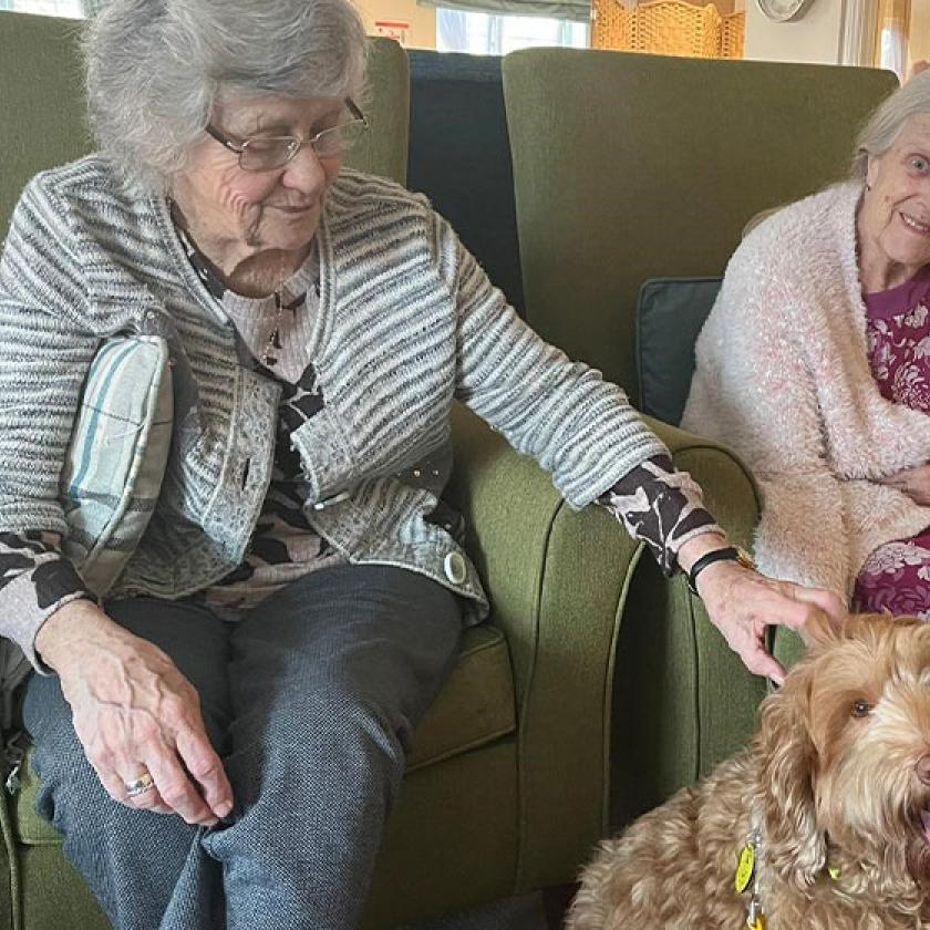Residents at Upton Dene Residential and Nursing Home, our Sanctuary Care home in Chester, with therapy dog Ned 